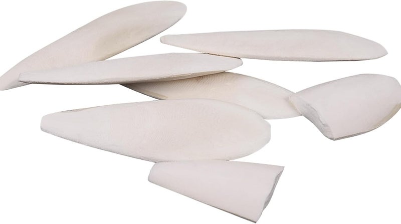 HEQU 6 Pcs Natural Cuttlebone Parakeets Pure Cuttlebone Calcium Stone for Tortoise Parakeets Canaries Cockatiels Turtles Cockatiel 9.5-10.4cm/3.7-4 inch - Image 4